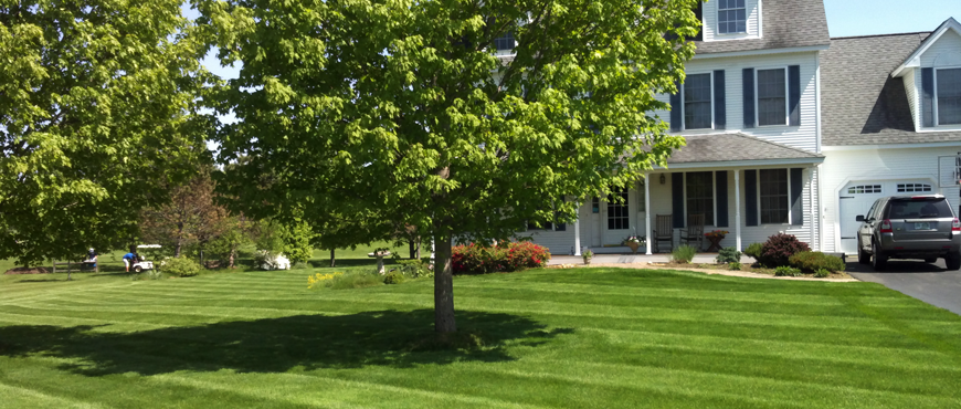 Custom landscaping services in NH