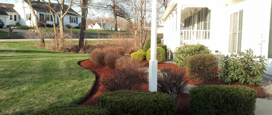 Edging enhances the look of a landscaped bed