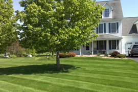 Supreme Landscaping weekly and bi-weekly mowing