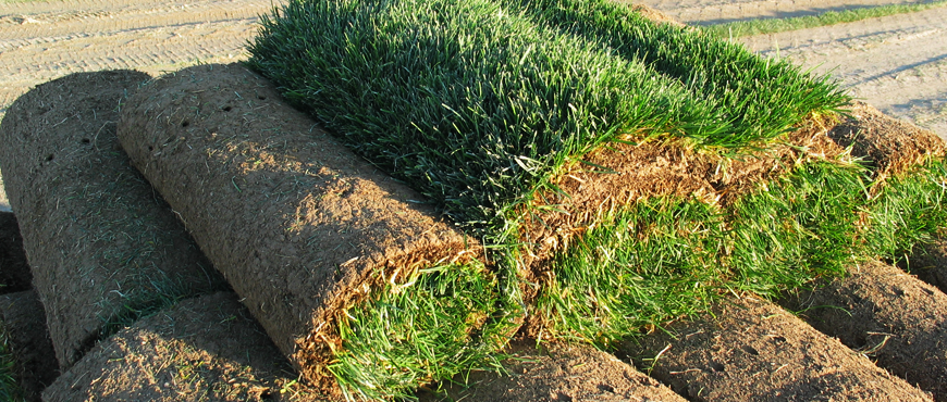 Sod installation in NH