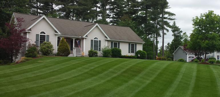 Raise mower height to no less than 3-3 1/2 inches during the summer