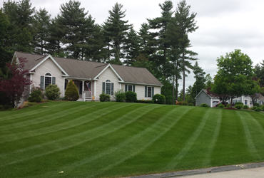 Supreme Landscaping offers weekly and bi-weekly mowing plans