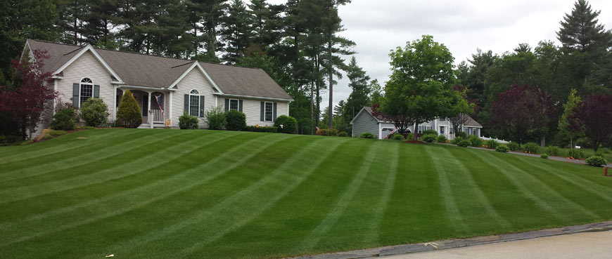 Weekly and bi-weekly mowing plans available