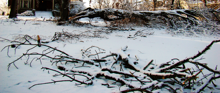 Storm damage - Supreme Landscaping can help!